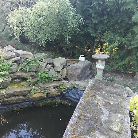 Bonsai *