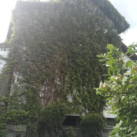 Bonsai 호텔 프라하