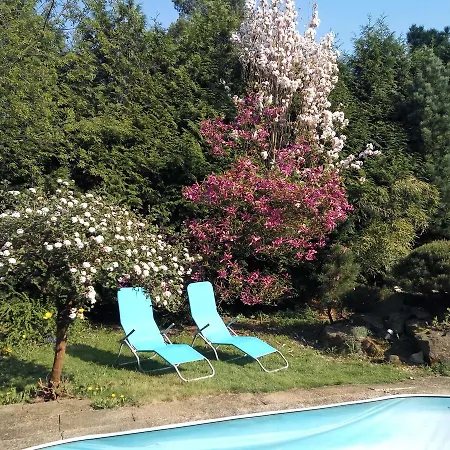 Bonsai Prag